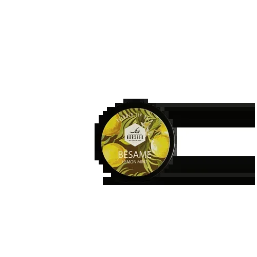 Besame Lemon Mint Lip Balm