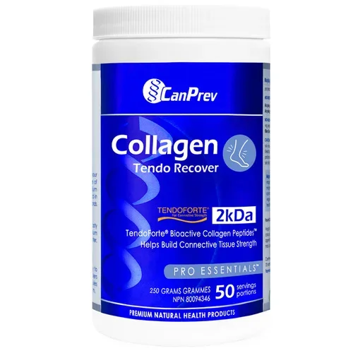 Collagen Tendo Recover CanPrev