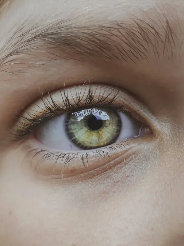 How to fill in sparse eyebrows?