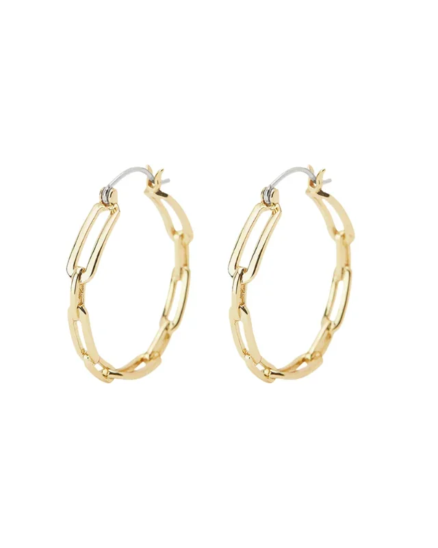 Parker Link Hoops