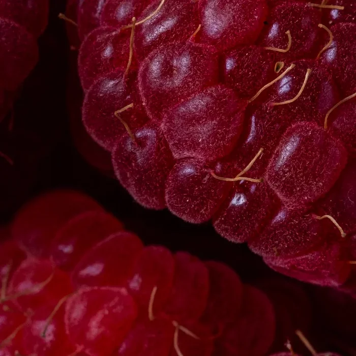Phytochemicals & Food as Medicine Timeline