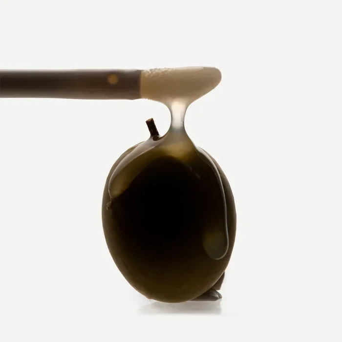Tinted Lip Oils: What are they made of?