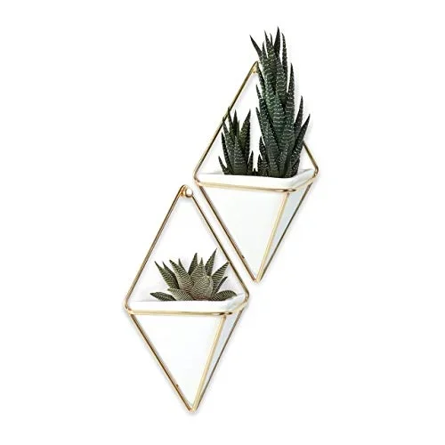 Umbra Trigg Hanging Planter Vase & Geometric Wall Decor Container, Small, White/Brass