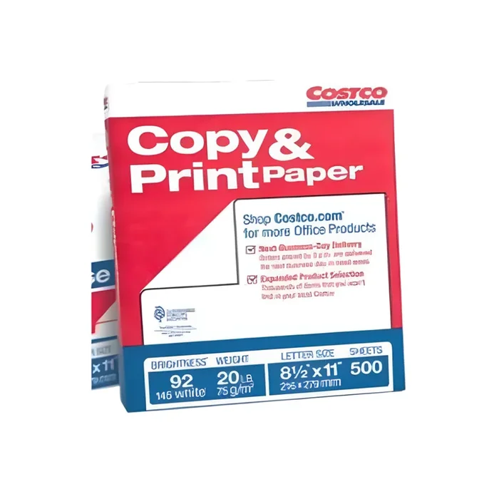 White Copy and Print Paper 500ct (1 Ream)
